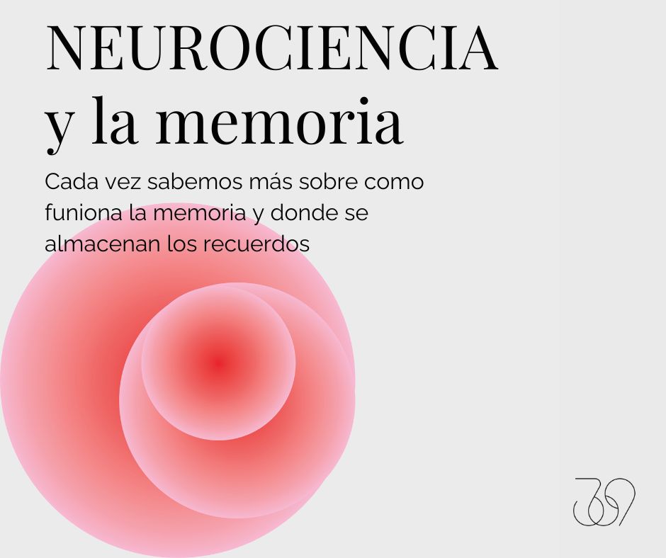 neurociencia y memoria